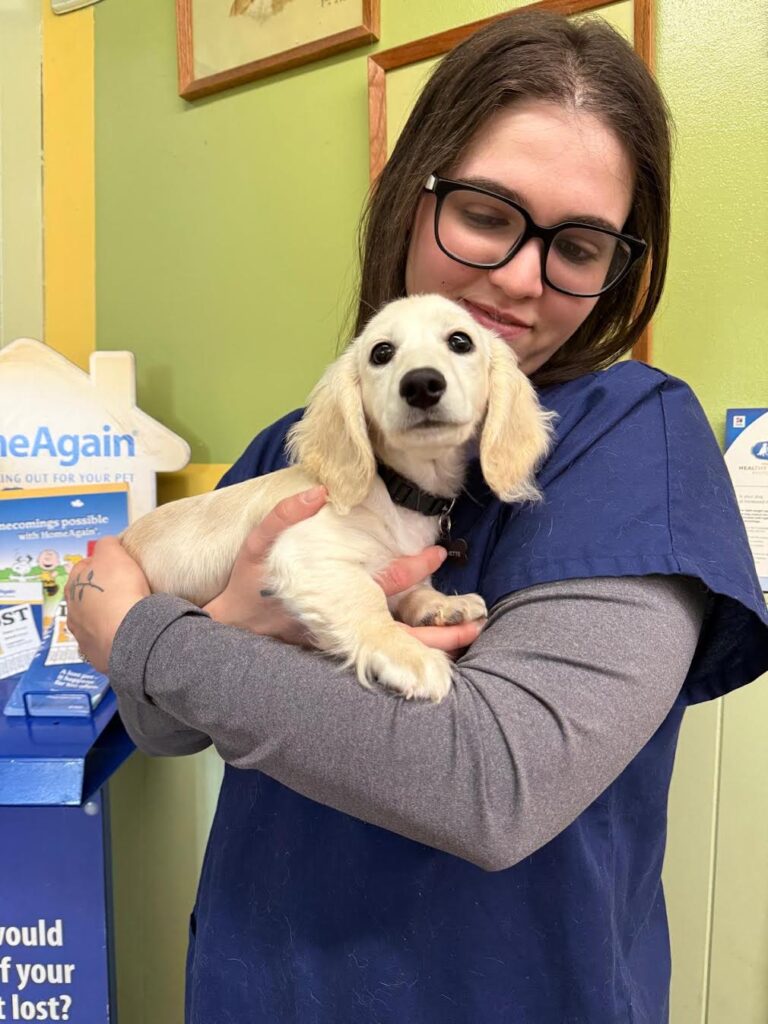 Airport Vet Clinic Aneta