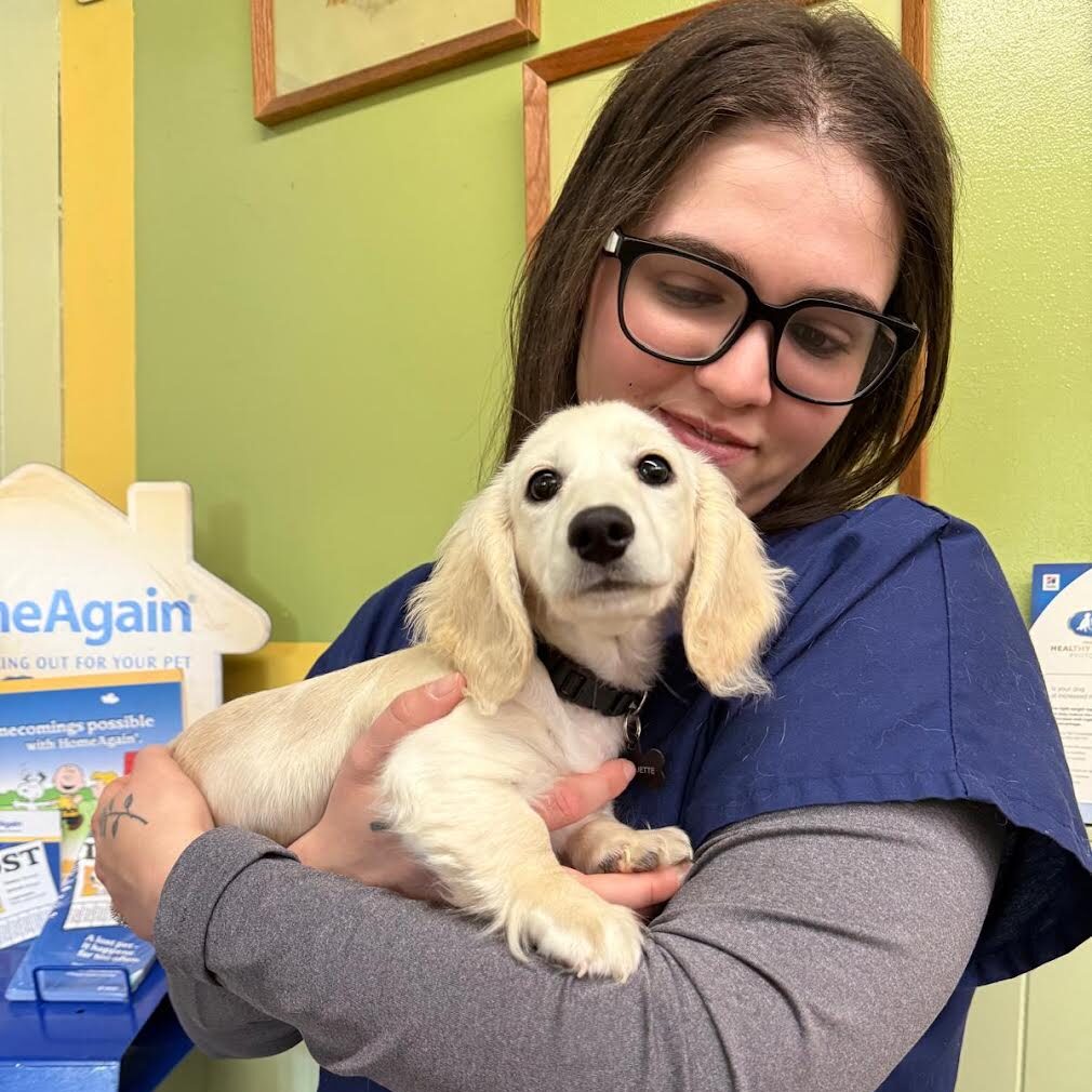 Airport Vet Clinic Aneta
