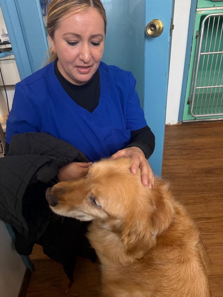 Airport Vet Clinic Rosy