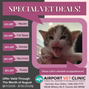 Airport Vet Clinic August 2026 Deals