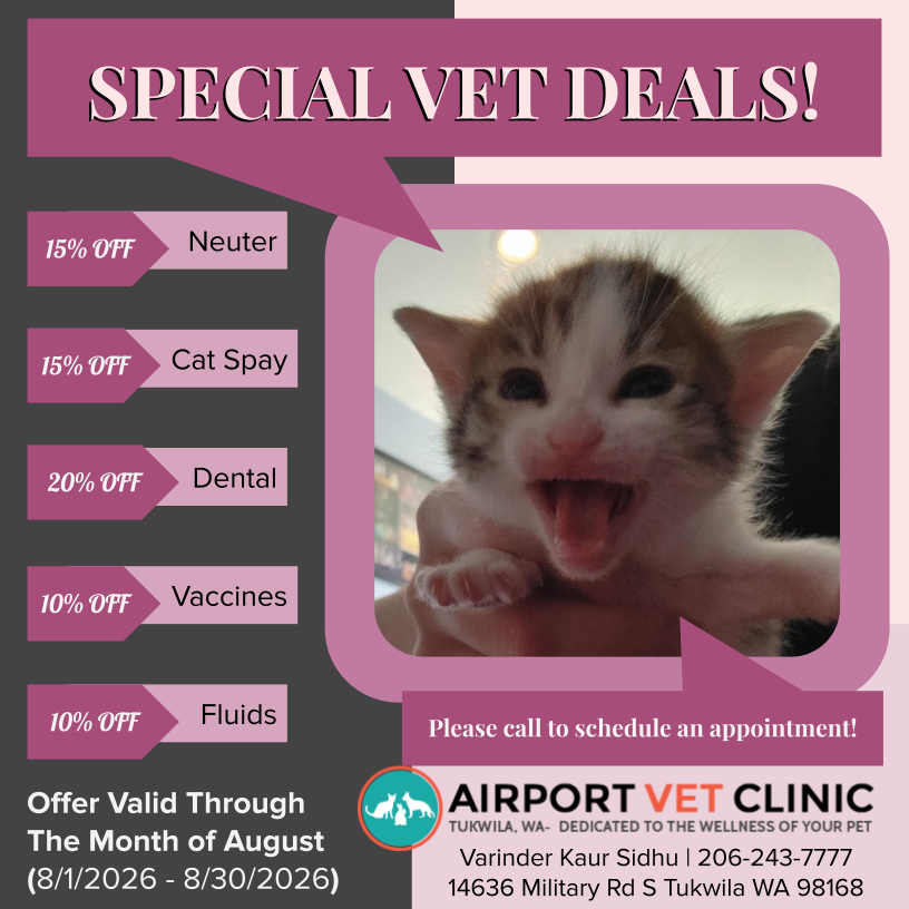 Airport Vet Clinic August 2026 Deals
